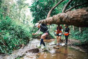 BIB: 
                            <button type="button" onclick="openModal(25375881)" class="btn btn-primary btn-sm float-right btn-popup" data-toggle="modal" data-target=".modal-high-quality">
                        <i class="fas fa-shopping-cart"></i> Add to Cart
                    </button>
                                            <button type="button" onclick="isThisMe(25375881, true)" class="btn btn-success btn-sm float-right btn-popup btn-isme hidden" data-toggle="tooltip" data-placement="bottom" title="นี่คือรูปของคุณใช่ไหม คลิกที่นี่เพื่อเอาเข้าอัลบั้ม">
                        <i class="fas fa-plus"></i> Add to album
                    </button>
                    <button type="button" onclick="isThisMe(25375881, false)" class="btn btn-warning btn-sm float-right btn-popup btn-isnotme hidden">
                        <i class="fas fa-ban"></i> Remove from album
                    </button>